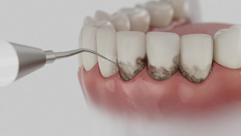 Reliable Dental contractor in New Hope, MS by Dentist Open Now